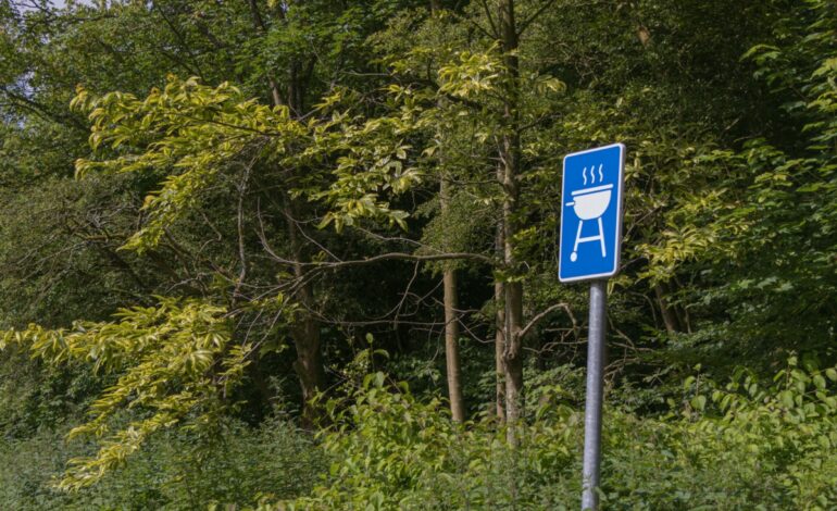 Gratis zomerkamp voor kinderen die niet op vakantie kunnen gaan