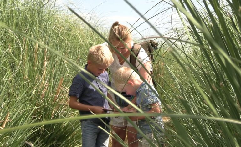 Op avontuur tussen metershoog pampasgras in Nieuw-Vennep