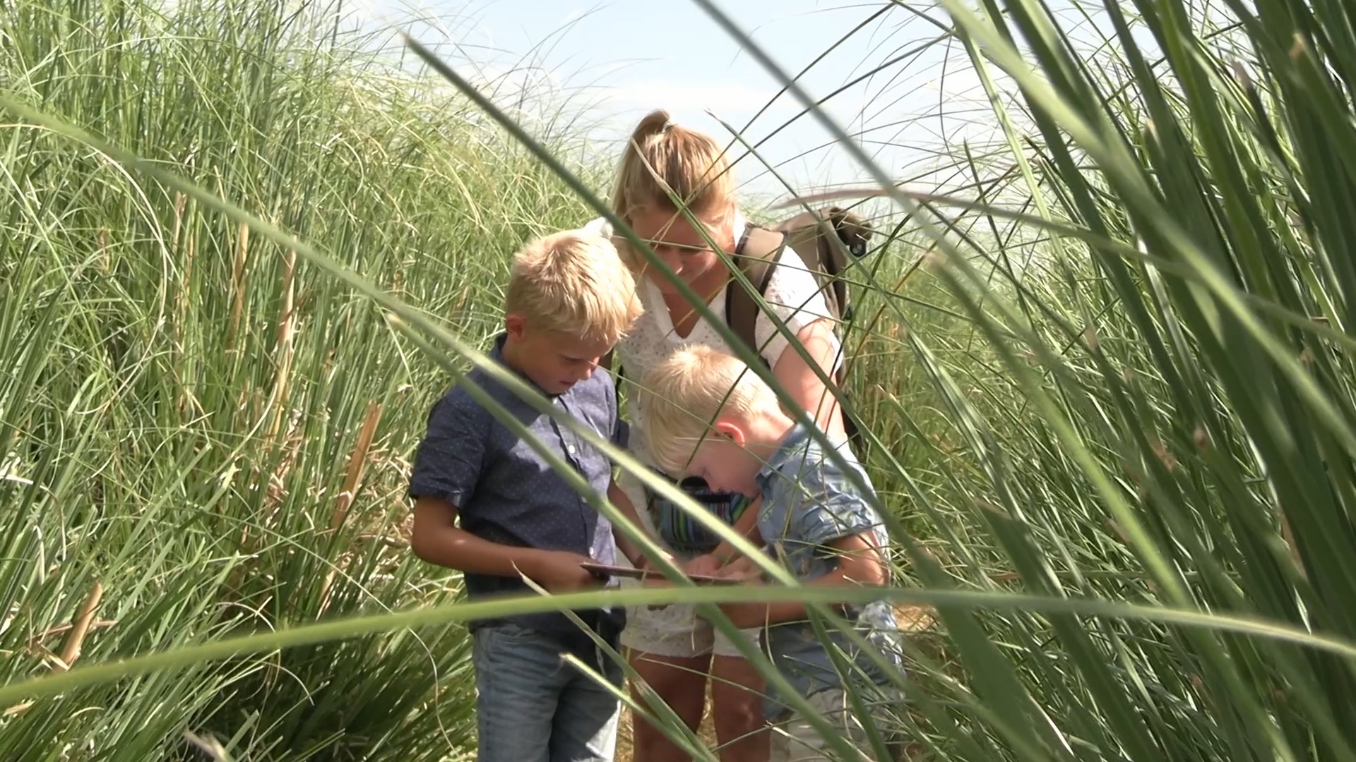 Op avontuur tussen metershoog pampasgras in Nieuw-Vennep
