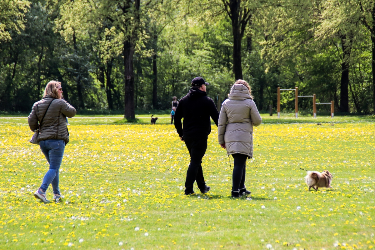 Hoofddorper verdacht van doodslag