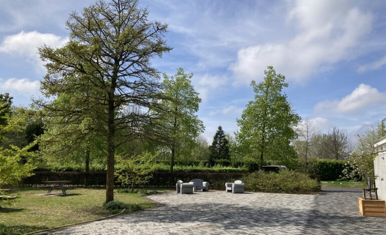 Wandeling langs bijzondere bomen op De Meerterpen