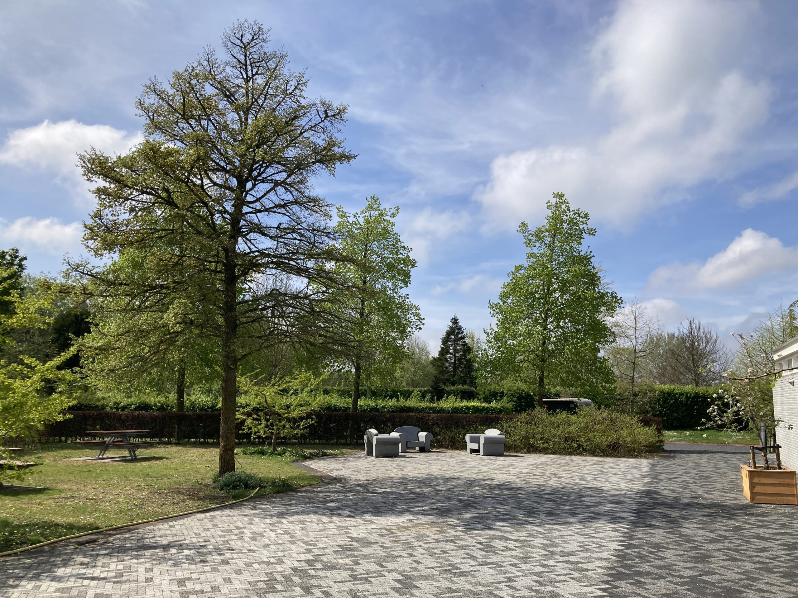 Wandeling langs bijzondere bomen op De Meerterpen