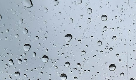 Deltares brengt gevolgen van extreme regenval in Haarlemmermeer in kaart