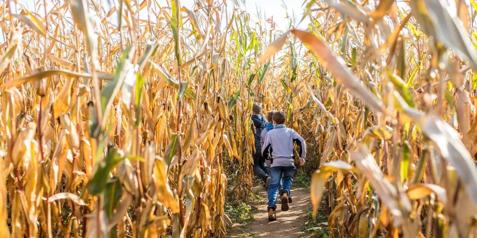 Volop activiteiten tijdens de herfstvakantie