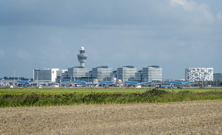 Na twee vogelaanvaringen op Schiphol start proef met afschieten van ganzen